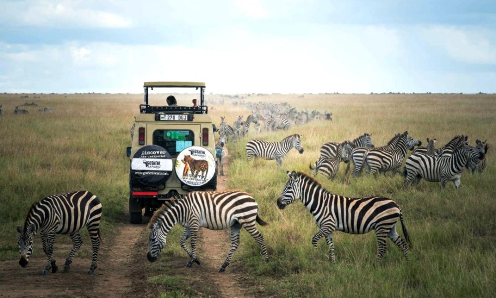 Serengeti National Park