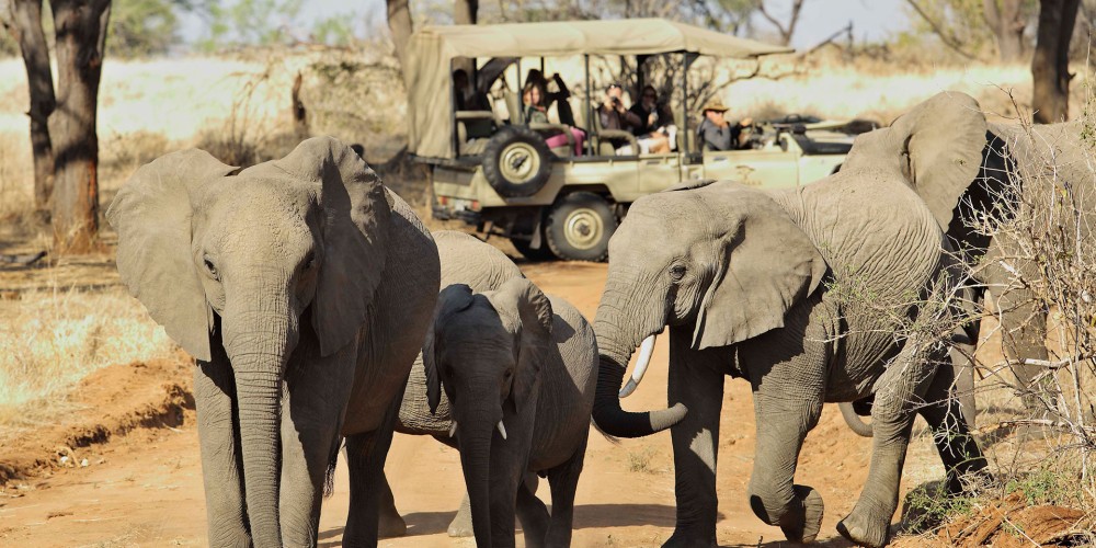 Ruaha National Park