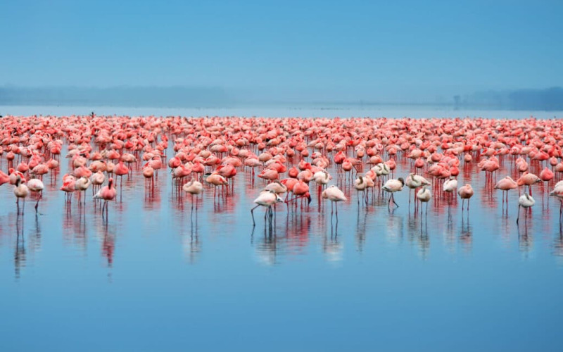  LAKE EYASI