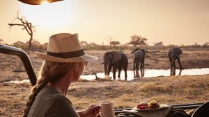 6-Days Botswana Camping Safari