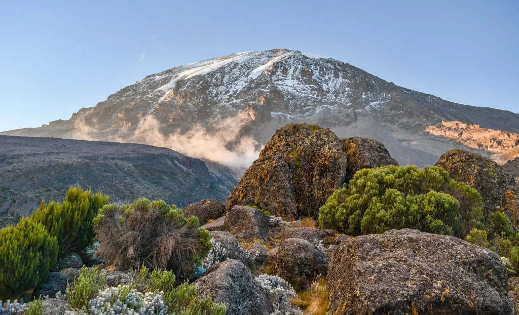 8 Days Kilimanjaro Climbing Machame Route
