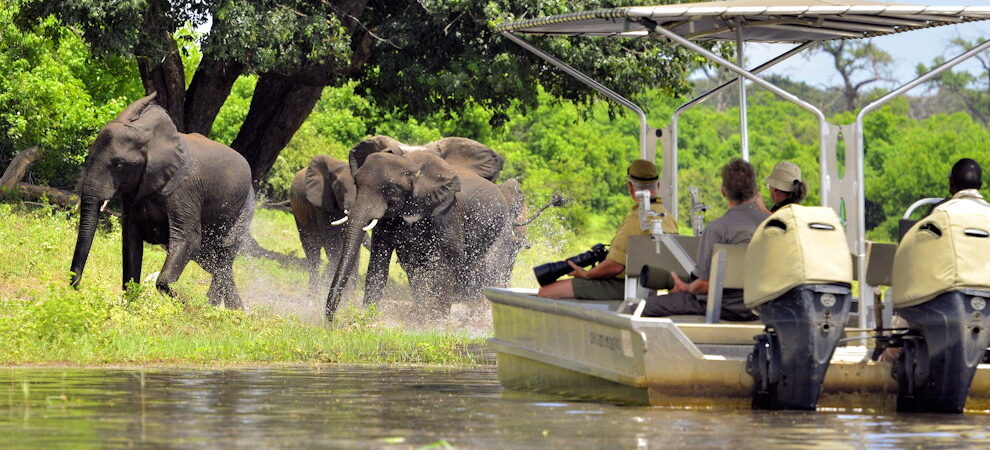 attractions-in-botswana