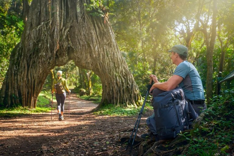 666ad371a35487b9d57367b6_Arusha Walking Safari 4