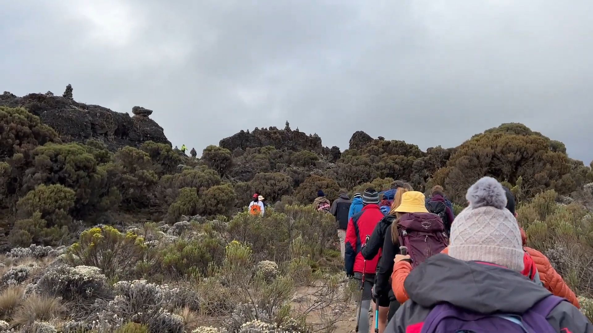 Kilimanjaro_Climb_Machame_Route_03