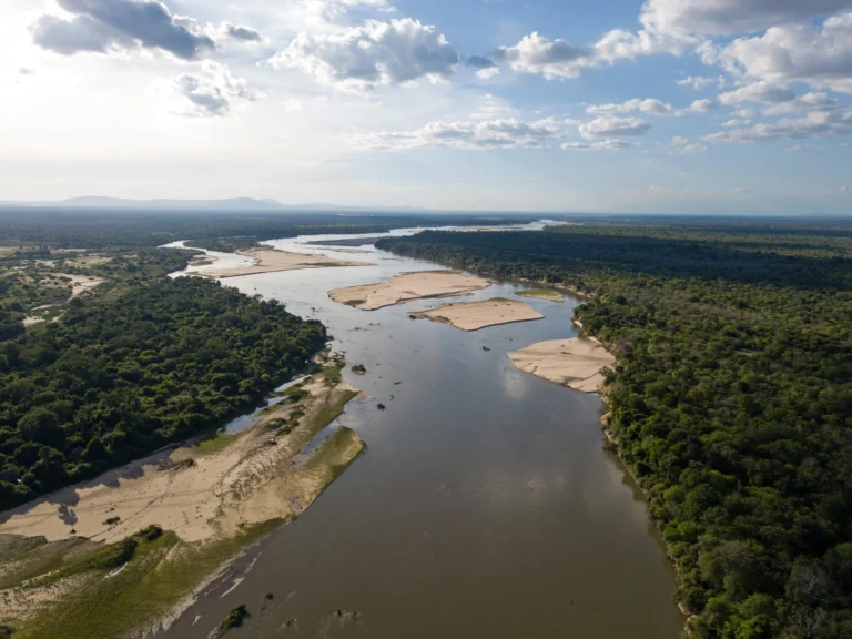 selous_birdseye_view