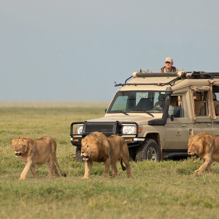Serengeti-National-Park-Reviews