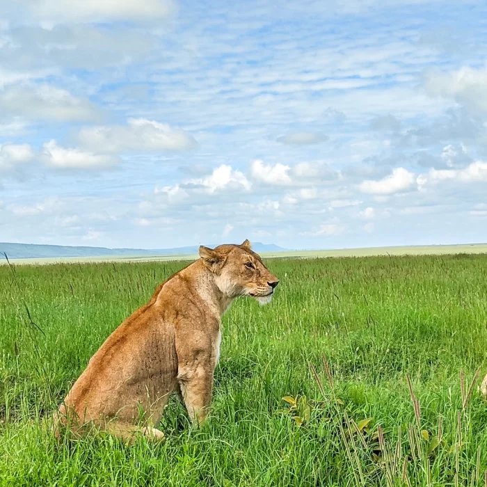 Serengeti-National-Park