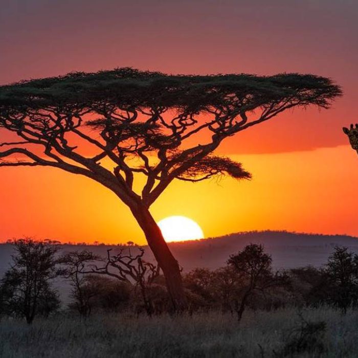 Serengeti-national-park