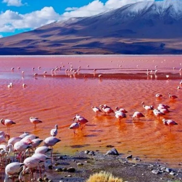 lake natron